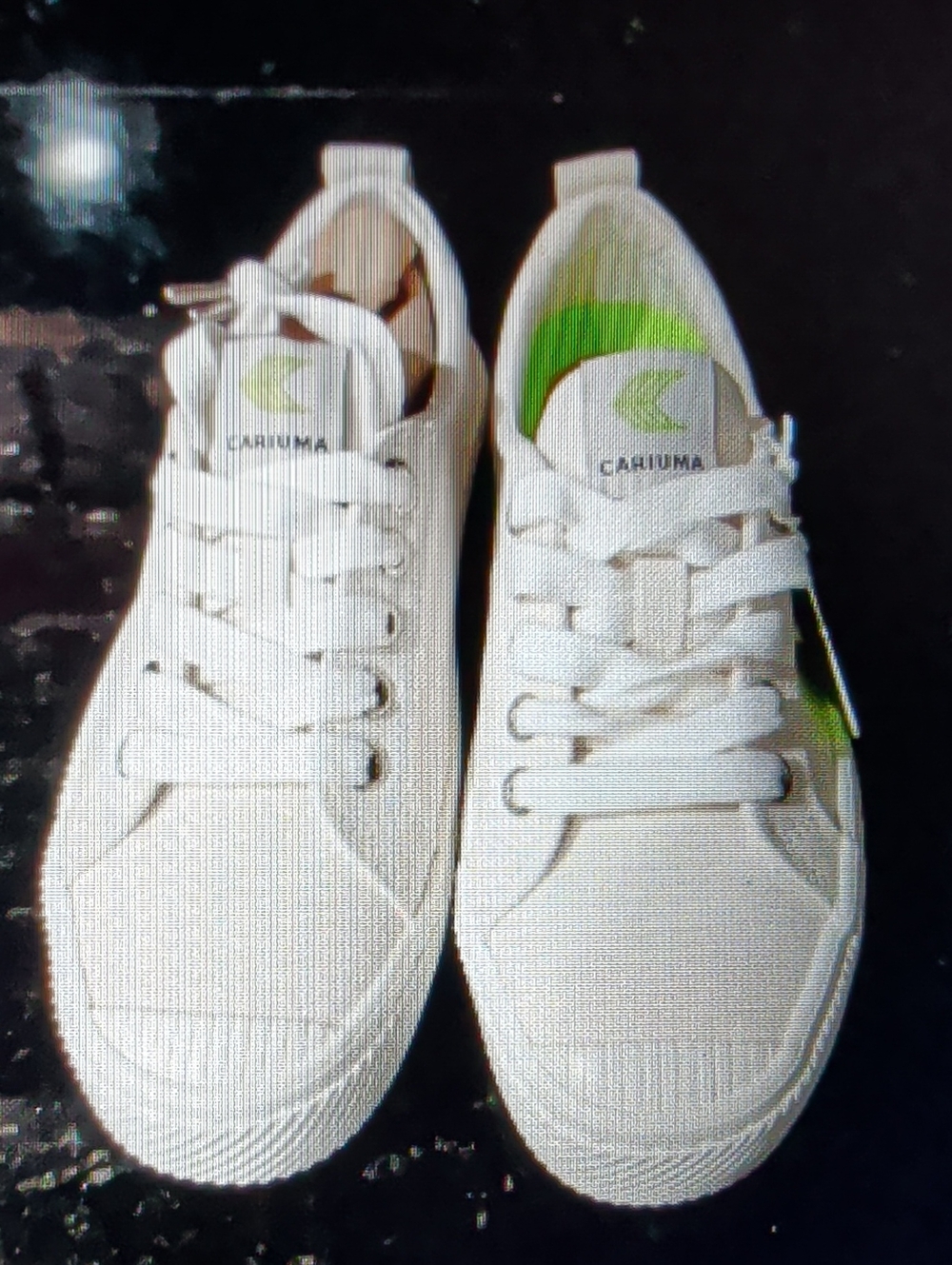 Cariuma Shoes